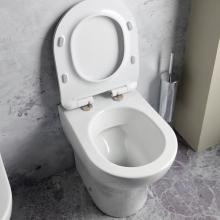 Schlanker Weiß WC-Sitz mit Absenkautomatik Daisy