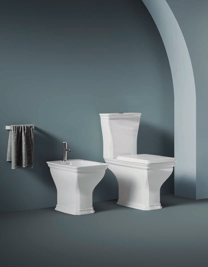 Il Vaso WC Monoblocco: Eleganza e Funzionalità in un Unico Pezzo