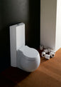 Cassetta di scarico a muro per vaso a terra Planet