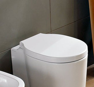 Toilettensitzeimer