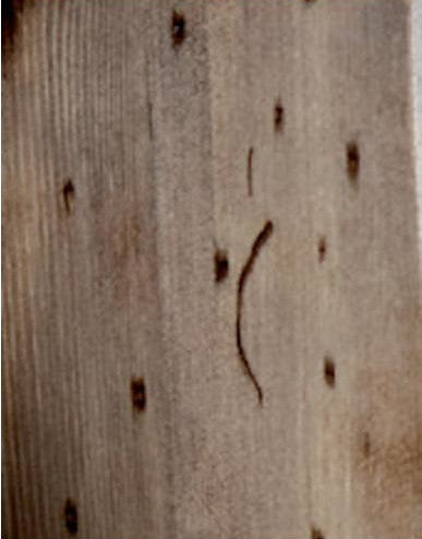 HIGH FLOOR STANDING WOODEN STRUCTURE MEGAFONO