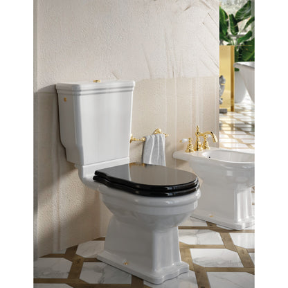 Toilettes monobloc sans bride Ellade
