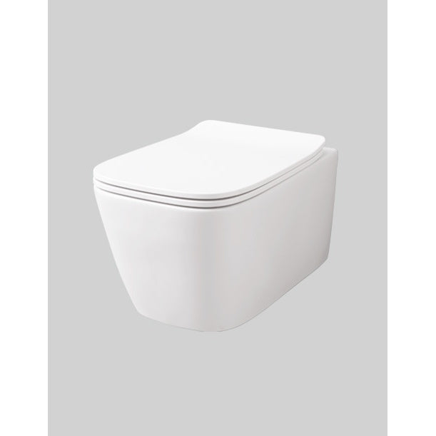Toilettensitz A16
