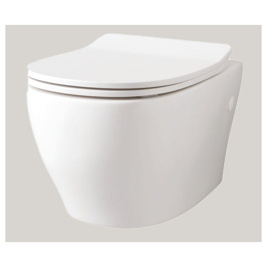 Meine randlose, wandhängende Toilette